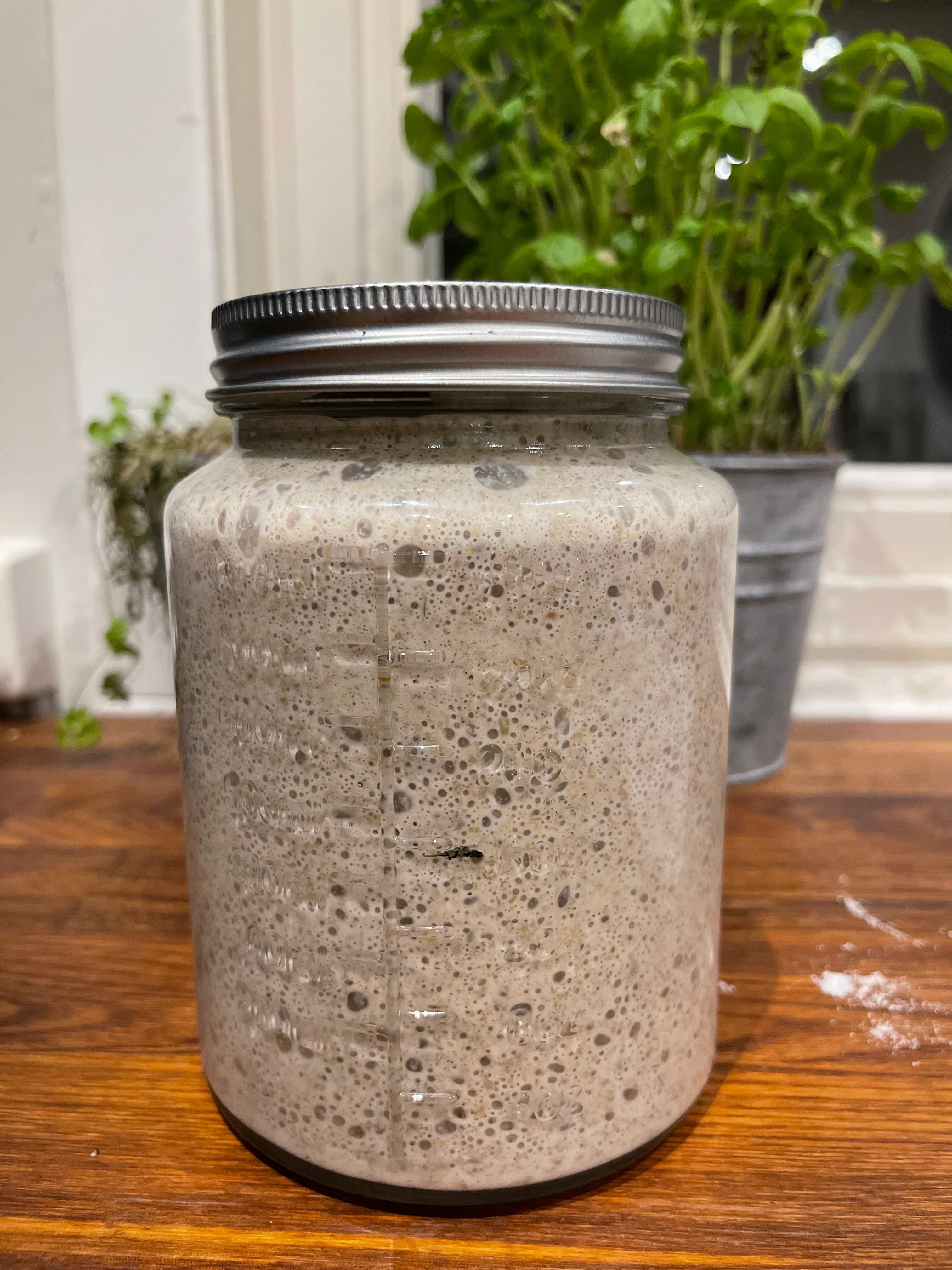 Hvorfor jeg aldri blir lei av å bake med surdeig