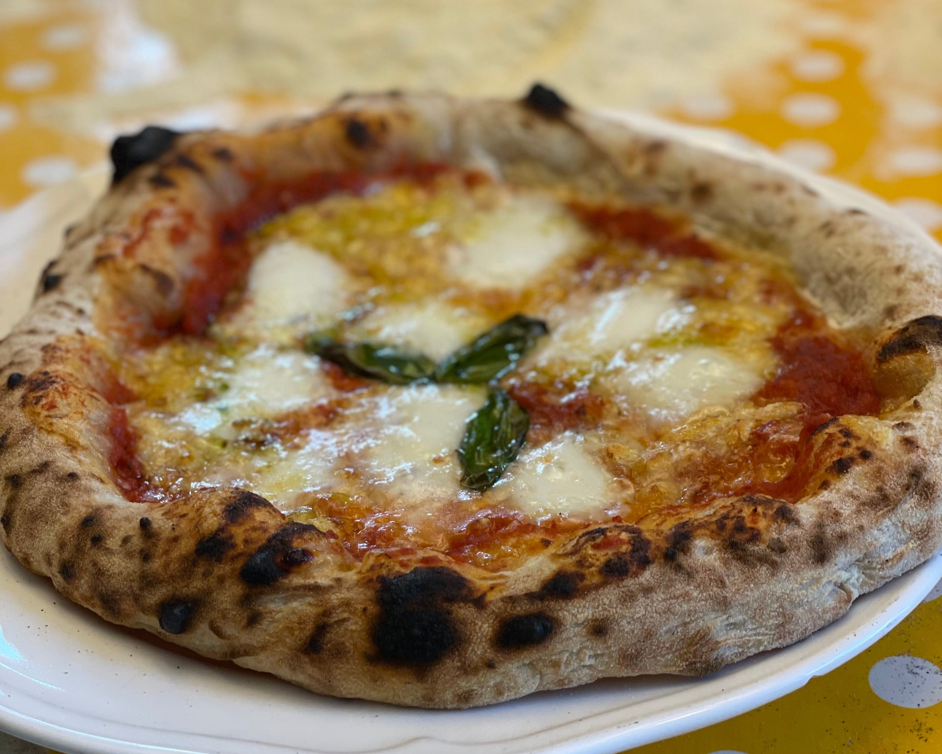 Napolitansk Pizza kurs PDF
