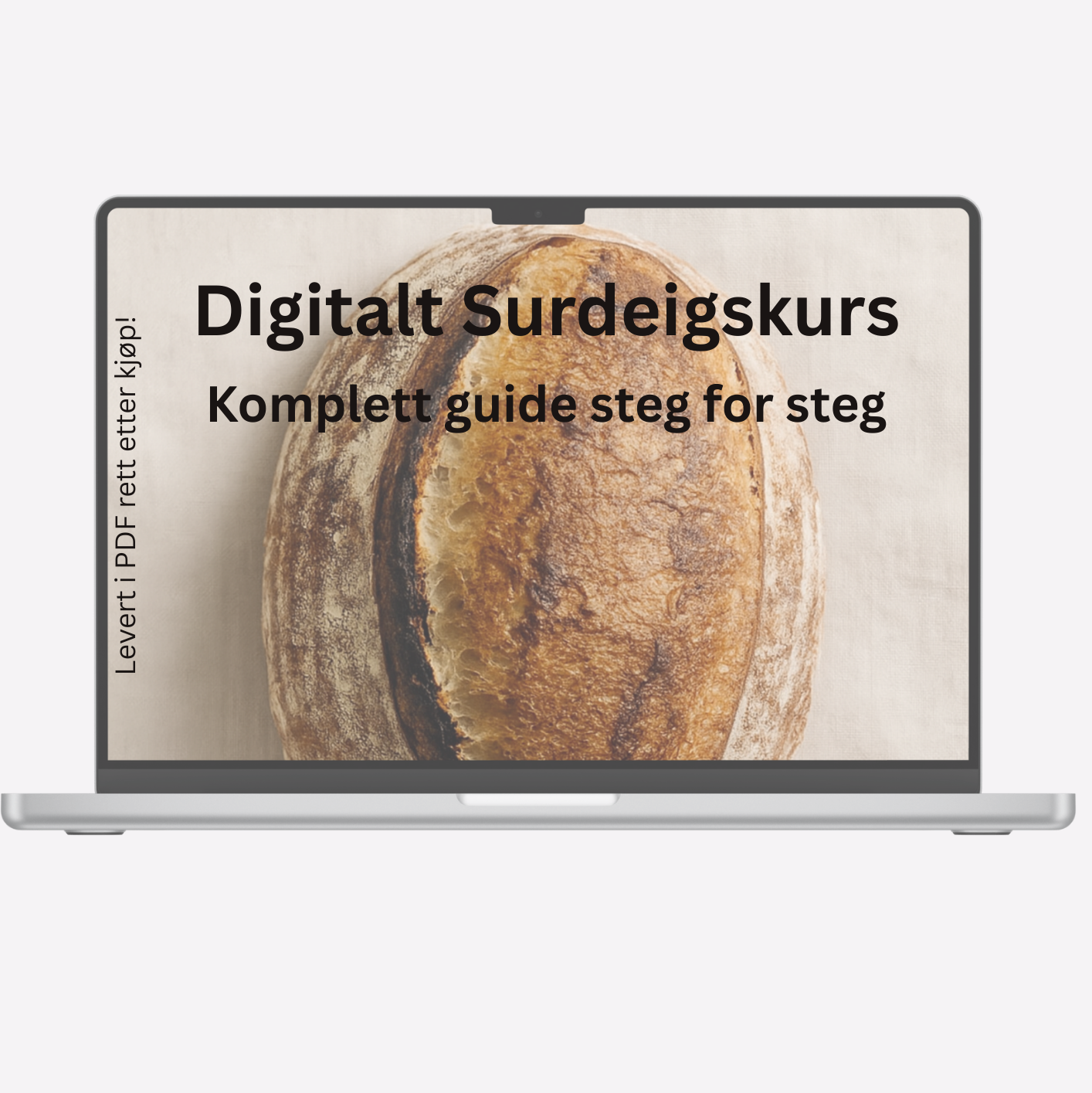 PDF Norsk Surdeigskurs